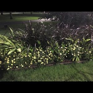 Meet your Posher, Sonia